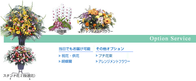 オプションイメージ